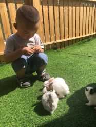 -萌宠亲子动物乐园(槐房万达店)