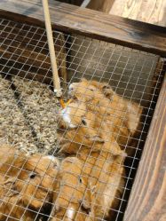 -酷嗒动物文化乐园(cutezoo西溪乐天城店)