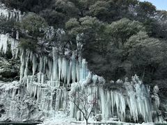 -少华山国家森林公园
