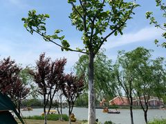 -上海长兴岛郊野公园