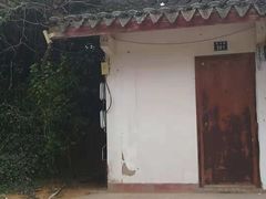 -普陀山慧济禅寺