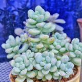 入坑3年 感谢你们的陪伴