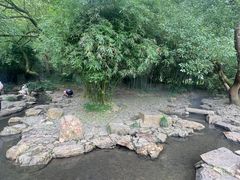 -兰亭风景区