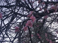-大理文庙(大理古城)
