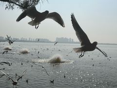 -滇池海埂公园