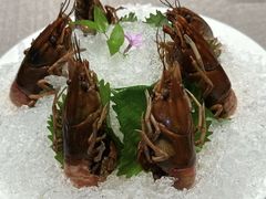 -福玺荟(外滩罗斯福店)