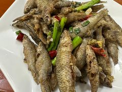 -品雅轩农家乐