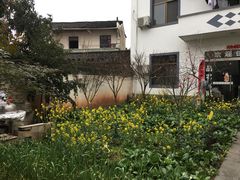 -水香园·中国徽菜名店(紫霞大道店)