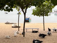 -三娘湾旅游风景区