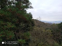 -普陀山风景名胜区-法雨禅寺