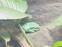 -可伦宾野生动物保护区