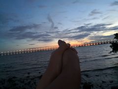 -宝安西湾红树林湿地公园