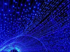 -昆山城市生态森林公园