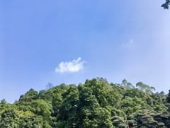 -广州市帽峰山景区