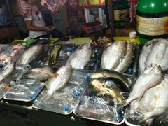 -新疆风味冷水鱼庄(友谊峰路店)