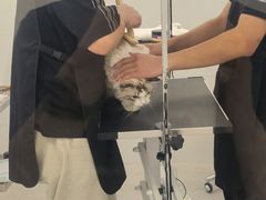 -comecome来吧宠物(奥克斯中心店)