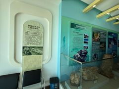 -延庆地质公园博物馆