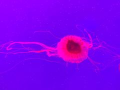 -多彩贵州城极地海洋世界