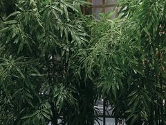 -洞庭土菜馆(天河北总店)