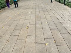 -新大新(东山广场店)