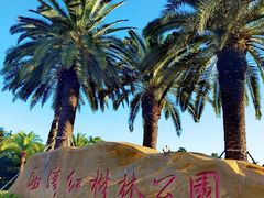 -宝安西湾红树林湿地公园