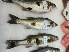 -郑庄脂渣海鲜楼(九水路店)