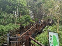 -天鹿湖森林公园