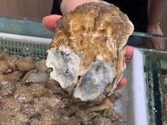 -苏大嘴蒸汽海鲜·海胆蒸饺(中山广场店)