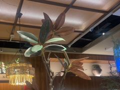 -老阿爸鲜鱼土菜(独墅湖店)