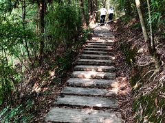-广州市流溪河国家森林公园