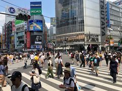 -涩谷全向十字路口