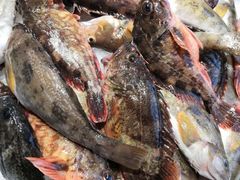 -大锅强·蒸海鲜青岛菜(吾悦广场店)