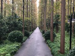 -上海怡沁园度假酒店