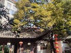 -石屏会馆