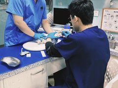 -瑞派申生动物医院·24H夜诊·国际动物医疗中心·骨外科(吴中路店)