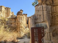 -元谋土林景区(物茂土林)