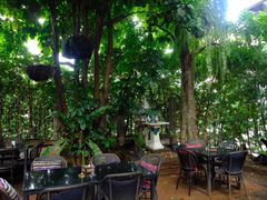 -Fern Forest Cafe