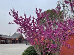 -清明上河园