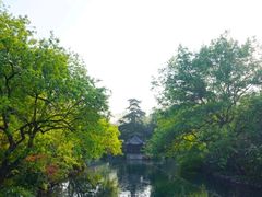 -西湖外事游船(花港观鱼码头)