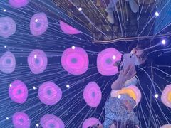 -梵高星空艺术馆(北京旗舰店)