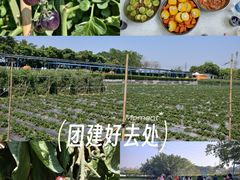 -长廊欢乐园