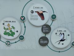 -下渚湖国家湿地公园科普馆