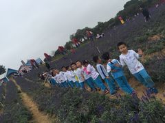 -松山湖梦幻百花洲