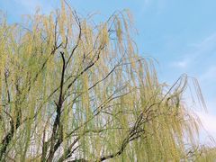 -大宁灵石公园西门票处