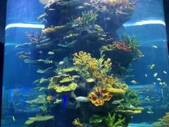 -多彩贵州城极地海洋世界