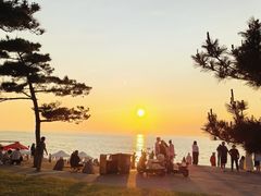 -金海滩海水浴场