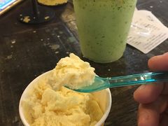 -莓园冰淇淋店