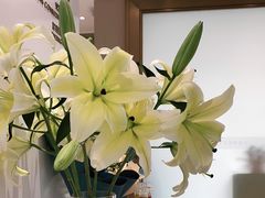 -柏乐口腔医院·舒适化无痛种植牙中心(东盟商务区院)