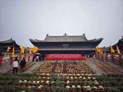 -大槐树寻根祭祖园