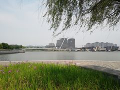 -映月湖中央公园